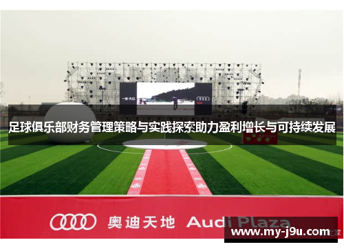 足球俱乐部财务管理策略与实践探索助力盈利增长与可持续发展