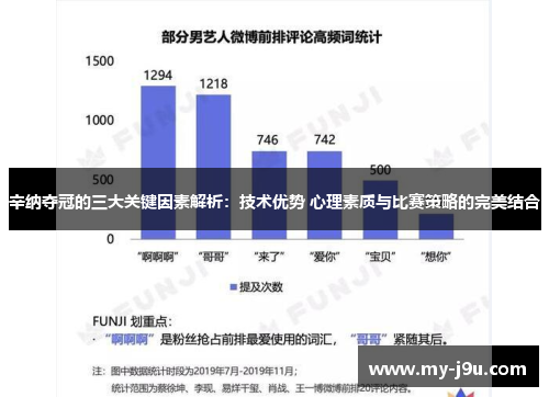 辛纳夺冠的三大关键因素解析：技术优势 心理素质与比赛策略的完美结合