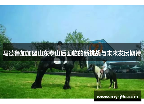 马德鲁加加盟山东泰山后面临的新挑战与未来发展期待