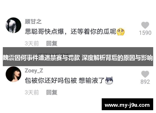 魏震因何事件遭遇禁赛与罚款 深度解析背后的原因与影响