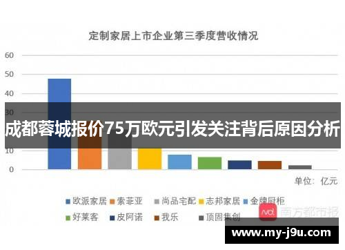 成都蓉城报价75万欧元引发关注背后原因分析