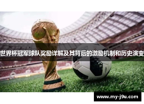 世界杯冠军球队奖励详解及其背后的激励机制和历史演变