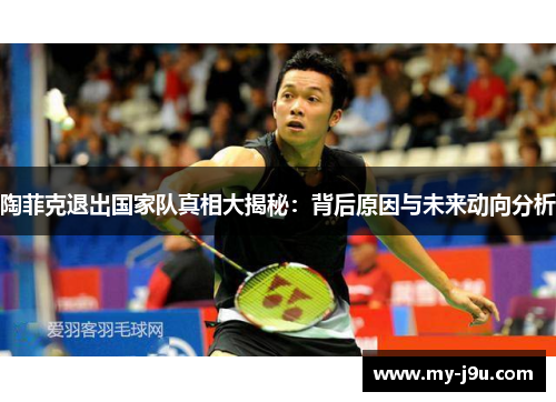 陶菲克退出国家队真相大揭秘：背后原因与未来动向分析