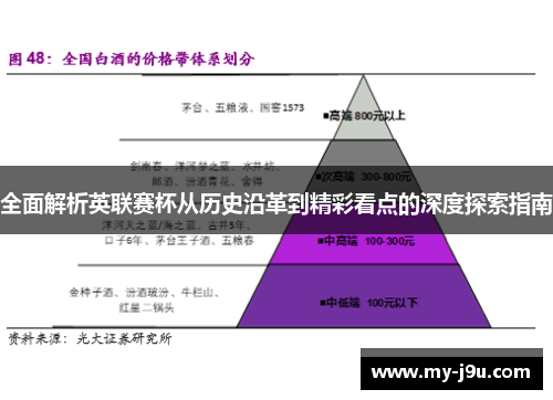 全面解析英联赛杯从历史沿革到精彩看点的深度探索指南